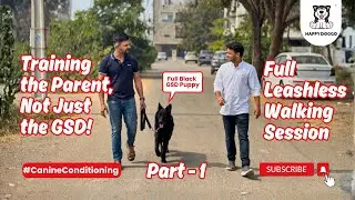 Why We Train #dog Parents First Leash-Free Walk With a #gsd Puppy
