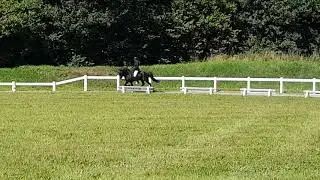 Askur von Heidmoor VE F2 2ter Teil(1)