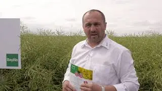 Rzepak ADVOCAT ::  BayWa Agro Polska (dr inż. Ireneusz Giermak)