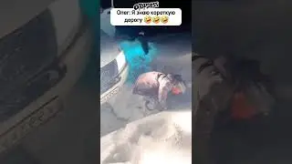 я знаю короткую дорогу 😂😂😂 