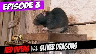 Red Vipers Vs. Sliver Dragons | Series 5, Episode 3 | Fort Boyard: Ultimate Challenge