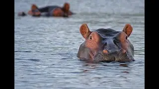 African Travel - Namibia and Botswana