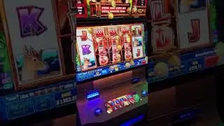 BIG WIN!!! on Sunset Tusk