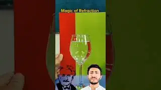 The Magic of Light Refraction &ndash; A Fascinating Physics Experiment! #physics #physicsphenomenon