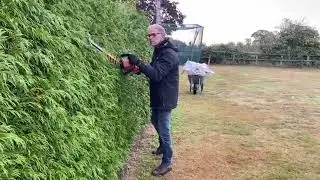 Hedge to perfection 1/3:  Thuja cutting with Ken Crowther