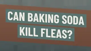 Can baking soda kill fleas?