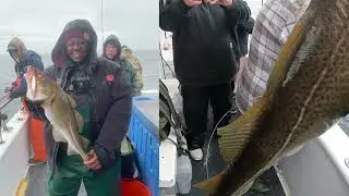 Jigging for Cod | Frances Fleet