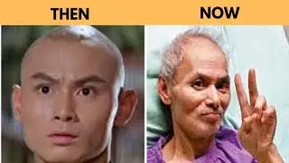 50 Martial Art Artist Then And Now 2025