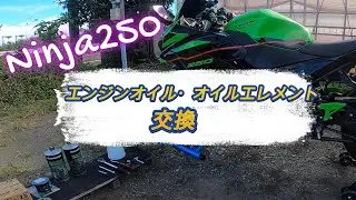Ninja250 緑色のエンジンオイルで交換してみた。オイルエレメントも交換したよ。＃Ninja250＃Ninjaオイル交換＃Ninjaオイルエレメント交換#緑色オイル