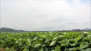 Flying Planes Compilation @ K2 Air Base 20170718