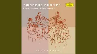 Hoffstetter: String Quartet In F Major, Hob.III No.17, Op.3 No.5 - 