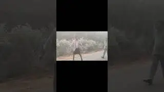 సైకో చేతిలో రాయి prank 😂 #comedy #funny #prank #prankcomedy #comedyprank #fun #latestprank