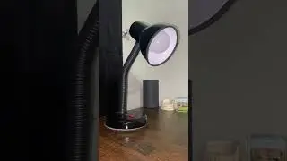 What I Ordered VS What I Got from Daraz || PART 2