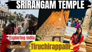 Trichy Vlog: Srirangam Temple Visit, Pani Puri Cravings & Exploring the City!#Trichyvlog#youtube be