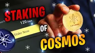 Maximize Your Earnings with Cosmos Staking