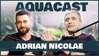 Adrian Nicolae: 