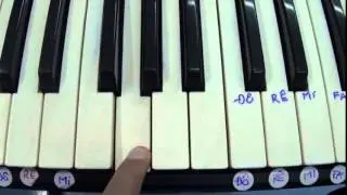 organ căn bản cho người mới bắt đầu học