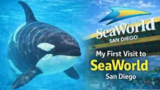 Мой САМЫЙ ПЕРВЫЙ визит в SeaWorld San Diego! 🐳🪼🌊