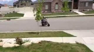 Fat Man on Little Bike (Z50 Replica ride)