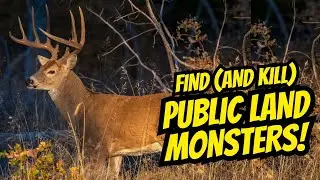 How To Kill Big Bucks on Public Land