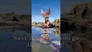 &ldquo;DEAR HUMANS: San Diego Mermaids Explain Tide Pool Etiquette During King Tides&rdquo; #tidepool
