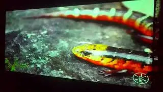 28 января 2022 г.