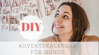 DIY Adventskalender für Hunde