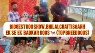 BIGGEST dog show 🐕&zwj;🦺🐕 BHILAI, Chattisgarh (TOP BREED DOG)🐾🐾2026 ka jabardast show