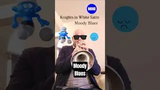 Moody Blues | Epic Trumpet Cover #shorts