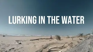 Adam Snebold - Lurking In The Water (Official Music Video)