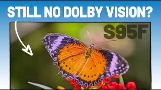 Samsung S95F review: easily one of 2025's best OLED TVs for bright rooms