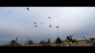 Illinois 2020 goose opener  5 man limit