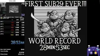 Teenage Mutant Ninja Turtles II: Back from the Sewers | Any% Easy in 28min:53sec [1/576]