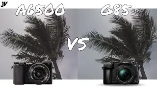 Panasonic G85 vs Sony A6500 - Video Test with Prime Lens