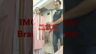 IMC magnetic Bracelet demo