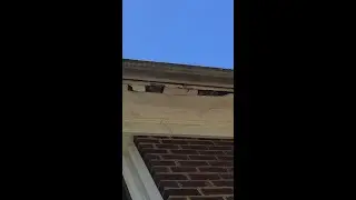 Replacing Rotted Eaves (soffit and fascia) by Yourself