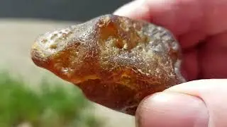 new hobby: the ever growing rock collection best pieces at end of vid #beach #rocks #agates