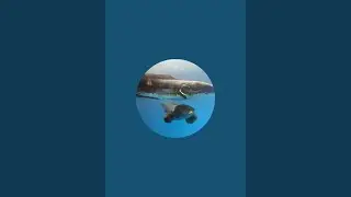 KD 4 You&hearts;️ is live!മഴ
