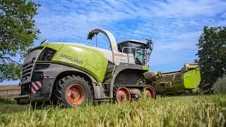 CLAAS JAGUAR 40000 TERRA TRAC 🚜🌿 ENSILAGE DE C&Eacute;R&Eacute;ALES IMMATURES