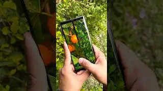 Samsung note 9 10X Zoom Quality 📸😱👌#samsung #samsunggalaxy #samsungnote9 #mobile #shorts #viral