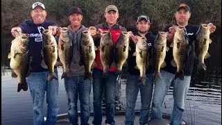 Big Weight Beatdown - FLW Tour pro competition - Florida Weigh-in video