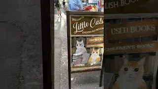 #Cats Themed Bookstore 📚 at Book Street, Ho Chi Minh