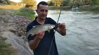 Fishing on river - Asp fishing C&R (Bucov)