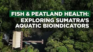 How Fish Reveal Peatland Health | RER Biodiversity Survey with Dr Tedjo Sukmono
