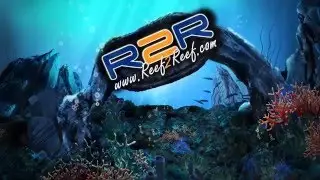 Reef2Reef TV : Product Review 4 : Acro Power by Julian Sprung