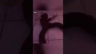 SL Spinning Meme