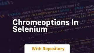 Chromeoptions in selenium