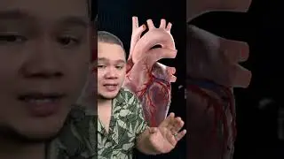 HYPERTHYROID MEMANG KITA AKAN KURUS TANPA DIET.. AND FUNGSI BADAN HABIS TUNGGANG-LANGGANG