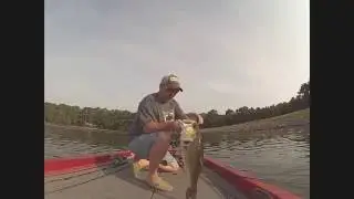How To Win A Bass Tournament