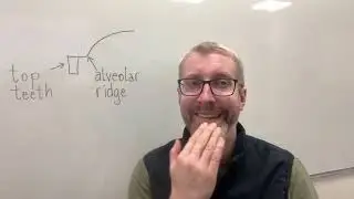 the Alveolar Ridge